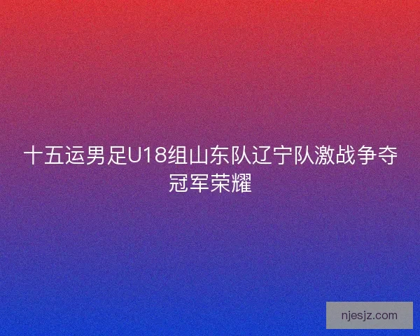 十五运男足U18组山东队辽宁队激战争夺冠军荣耀